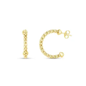 14K Gold Prosecco Chain Hoop Earrings