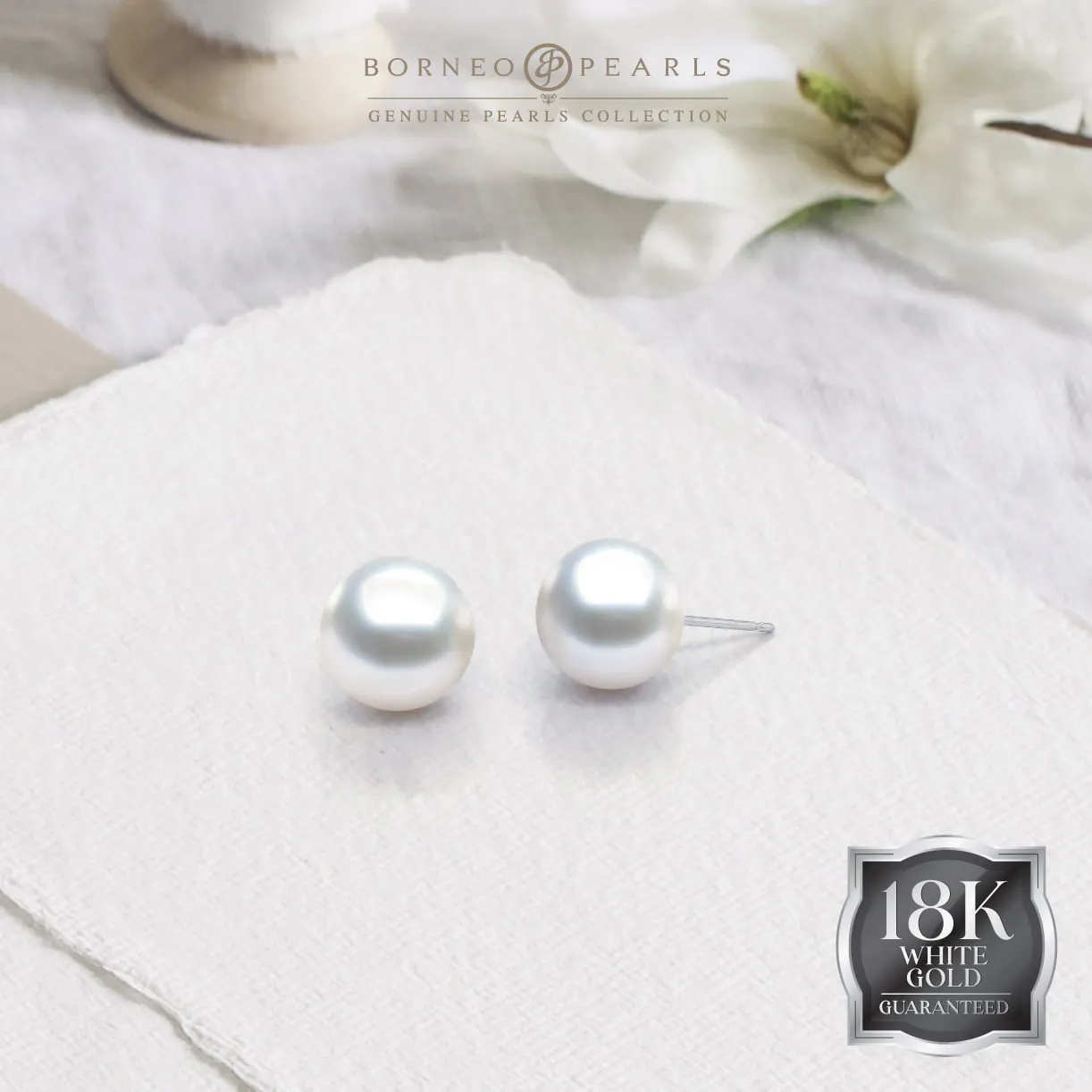 18K Gold White Southsea Studs