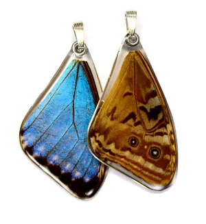 Butterfly wing pendant ONLY, Blue Morpho Portis, top wing