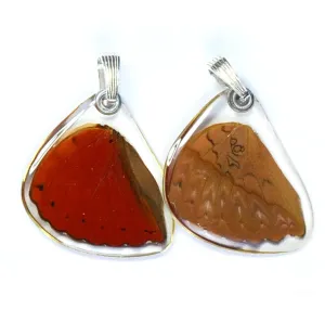 Butterfly wing pendant ONLY, Cymothoe Sangaris, bottom wing