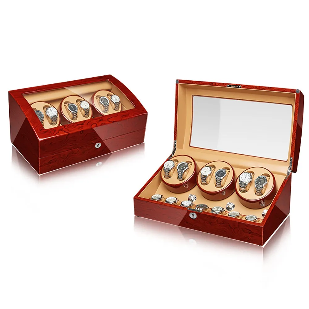 Regal - 6 7 Luxury Watch Winder
